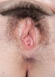 Hairy Man with a Hairy Bush: A Close Up View of His Unshaven Groin