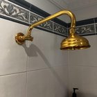 ID request on this shower head