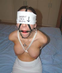Bound and Gagged: A Blindfolded Adventure