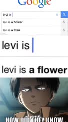 me when i google something about: levi