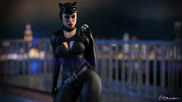 Catwoman (Otacon) [DC]