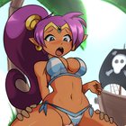 Shantae Beach Creampie (MaruZyruKun on Pixiv) [Shantae]
